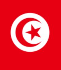 Тунис: январь, месяц восстаний