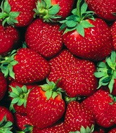Strawberry fields для «middle class» 