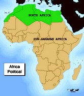 Африка. Эхо арабской весны