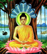 «Буддистская сила»